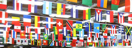 Multi Nation Bunting